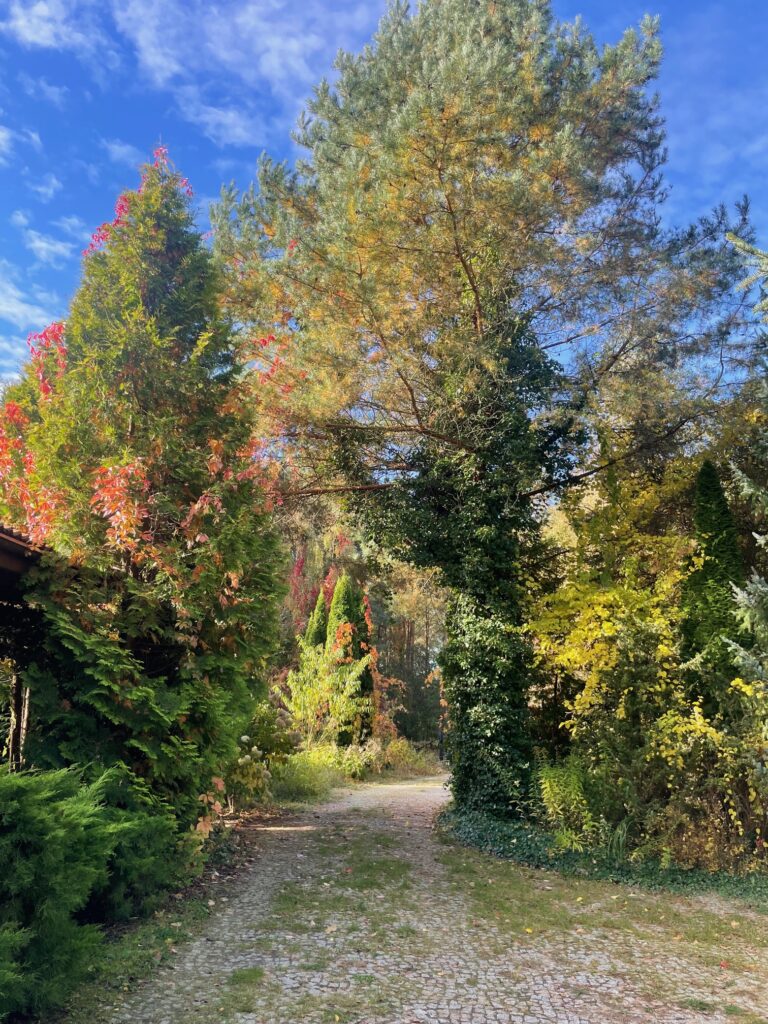 IMG 1395 2 Ewa rotated