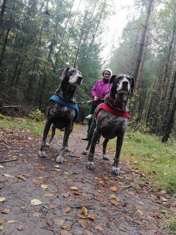 ewa kloge psycholog pruszkow 20