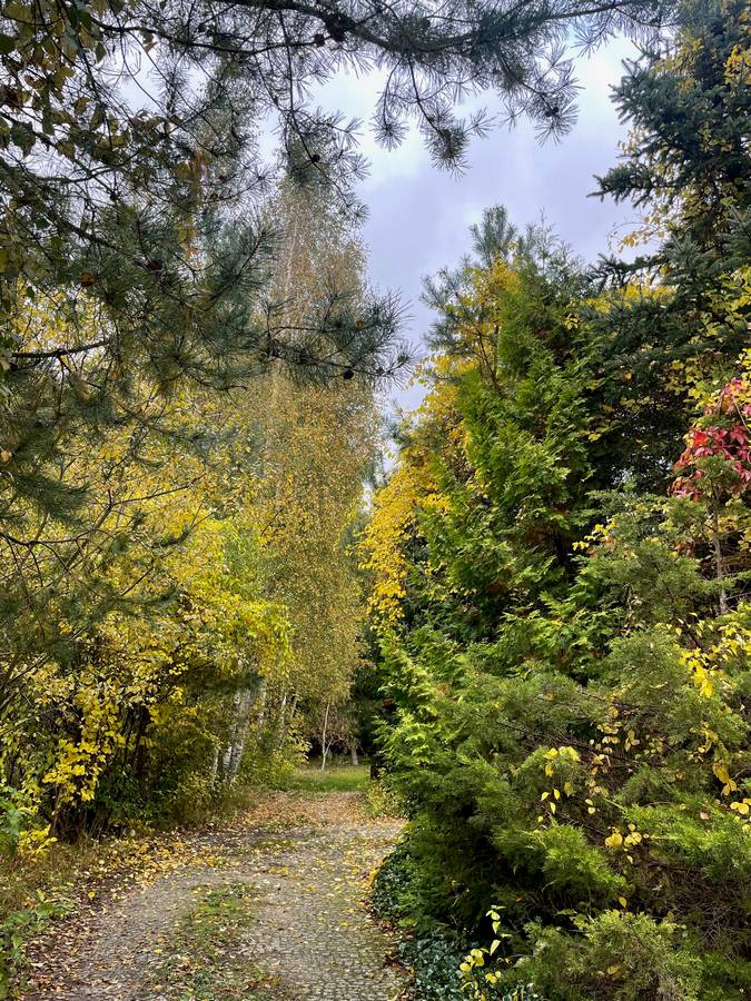 ewa kloge psycholog pruszkow 21