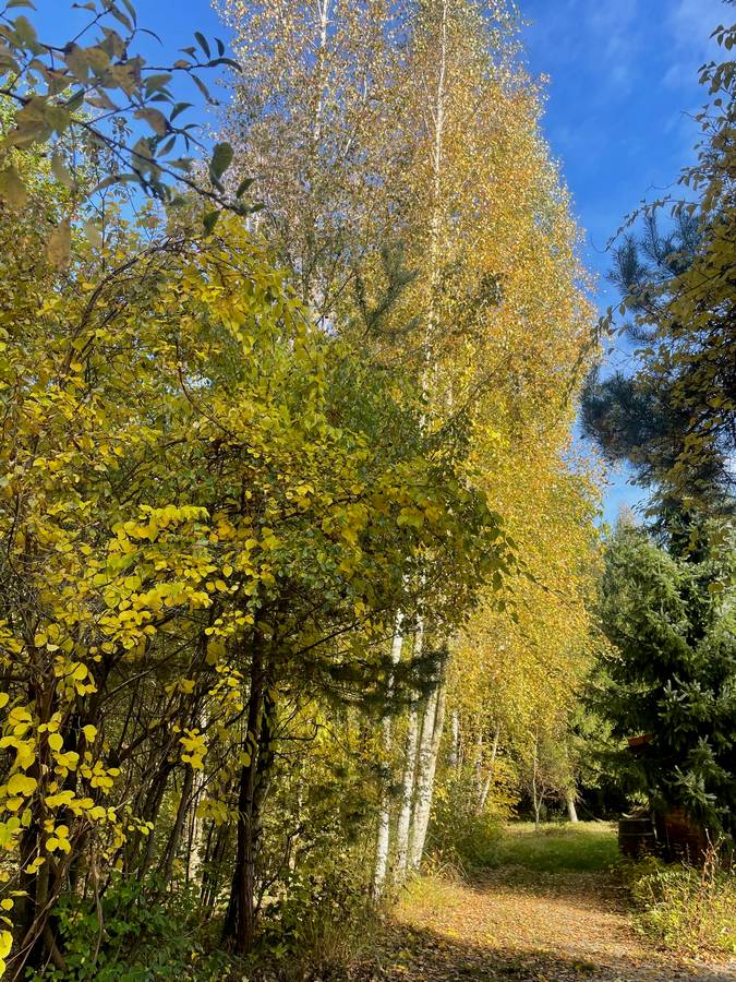 ewa kloge psycholog pruszkow 22