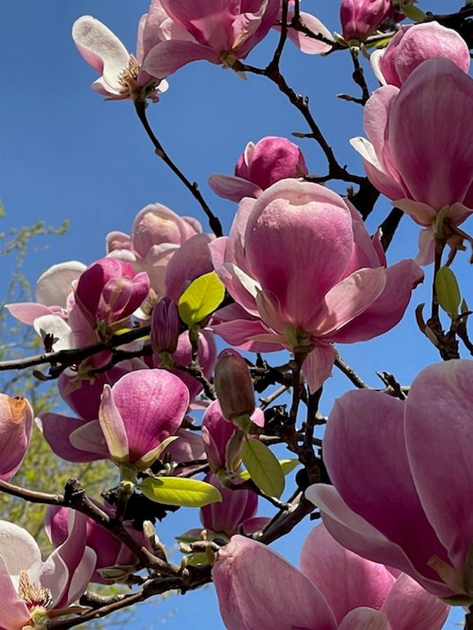 ewa kloge psycholog pruszkow 28